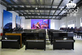熱烈慶祝卡羅德鋼琴經(jīng)銷商考察交流會在上海成功舉行 技術服務賦能行業(yè)未來