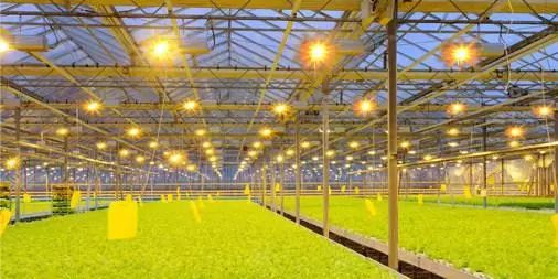 我國農(nóng)業(yè)科技創(chuàng)新專利眾多，為何技術(shù)落地推廣之路依舊艱難？